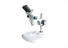 zoom stereoscopic microscope microscopes for commercial Sinowon